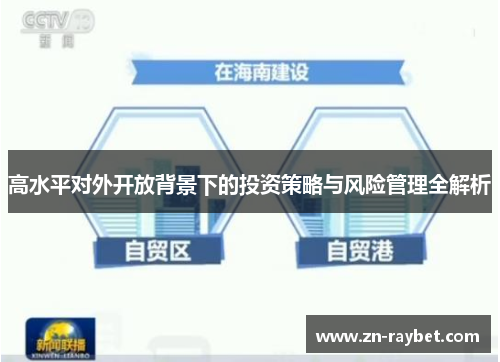 高水平对外开放背景下的投资策略与风险管理全解析 高水平对外开放背景下的投资策略与风险管理全解析