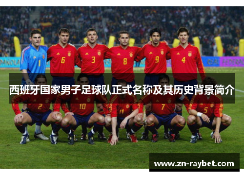 西班牙国家男子足球队正式名称及其历史背景简介