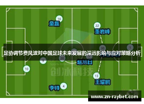 足协调节费风波对中国足球未来发展的深远影响与应对策略分析